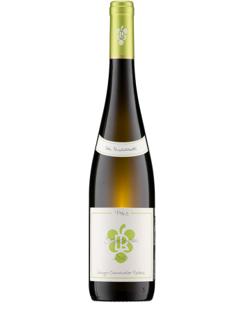 Siebeldinger Riesling vom Muschelkalk